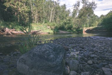yaz, ormandaki güzel kayalık akarsu. Letonya Cesis yakınındaki nehirde Amata 