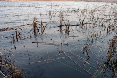 Göl su yansımaları ile. geç akşam renkleri