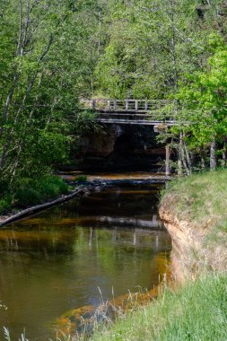 güzel yaz ormandaki yaşlı ahşap köprü