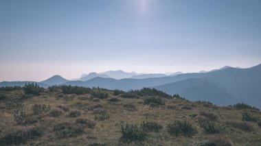 Slovakça Tatra Dağları'nda güzel misty gündoğumu karanlık ormanın içinde siste hafif şeritli