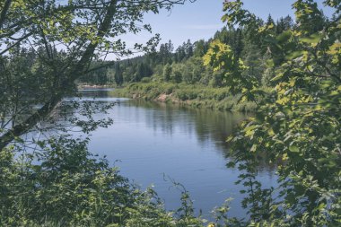 sakin Nehri yakınındaki Cesis, Letonya ağaçlarının yansımaları ile. Gauja Nehri