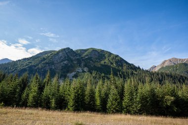 ormanlar ve ağaçlar erken sonbaharda kaplı bulutlu Slovakça Western Karpat Tatra dağ manzarası
