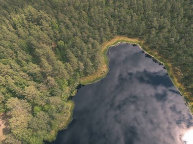 drone görüntü. alanları ve ormanları ve bulutlu bahar günü nehir su yansımalar kırsal alan hava görünümünü. Letonya - vintage eski film bakmak