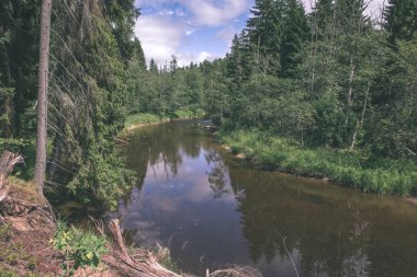 Yaz aylarında nehir derin orman kayalık akış. Letonya Cesis yakınındaki nehirde Amata