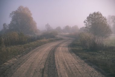 duyu veya zihin hoş estetik ülkede çakıl yol sonbahar renk sonbahar renk sis ile ve her iki tarafta - vintage eski film sisli ağaçlar bak