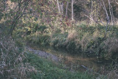 sonbahar renkli ağaçlar ve dalları bir su parkı bırakır. vintage eski film ülke yan yatay görünüm - bak