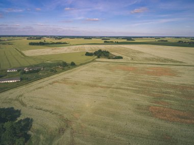 drone görüntü. alanları ve ormanları ve bulutlu bahar günü nehir su yansımalar kırsal alan hava görünümünü. Letonya - vintage eski film bakmak