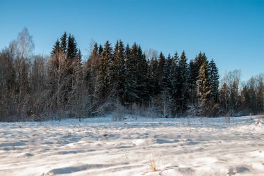 Kışın kar yüksek düzeyde ile geç gün batımından önce akşam, vahşi orman
