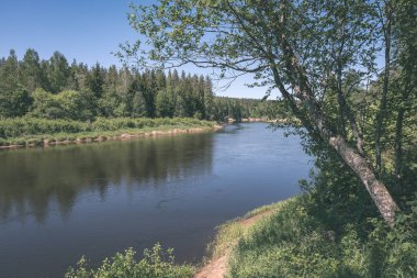 sakin Nehri yakınındaki Cesis, Letonya ağaçlarının yansımaları ile. Gauja Nehri