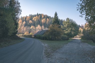 duyu veya zihin hoş estetik ülkede çakıl yol sonbahar renk sonbahar renk sis ile ve her iki tarafta - vintage eski film sisli ağaçlar bak