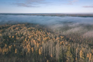 drone görüntü. hava alanları ve ormanları ile kırsal alan görünümünü sonbahar sis kaplı. Letonya - vintage eski film bakmak