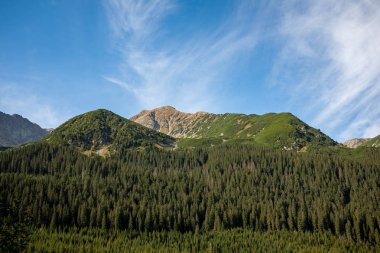 ormanlar ve ağaçlar erken sonbaharda kaplı bulutlu Slovakça Western Karpat Tatra dağ manzarası
