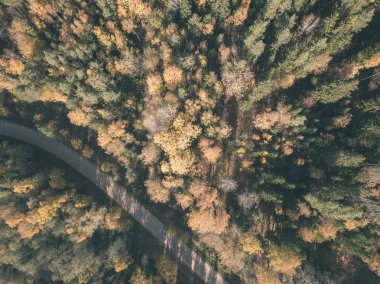 drone görüntü. çakıl yol sonbahar renkli alanları ve ormanları ile kırsal alan hava görünümünü. Letonya - vintage eski film bakmak