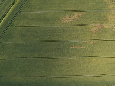 drone görüntü. alanları ve ormanları ve bulutlu bahar günü nehir su yansımalar kırsal alan hava görünümünü. Letonya - vintage eski film bakmak