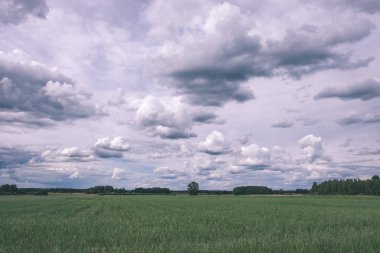 fırtına bulutları yeşil çayır ve yaz aylarında bazı ağaçlar üzerinde