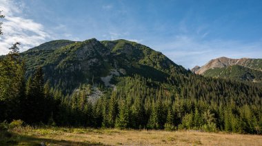 ormanlar ve ağaçlar erken sonbaharda kaplı bulutlu Slovakça Western Karpat Tatra dağ manzarası
