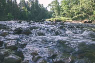 yaz, ormandaki güzel kayalık akarsu. Letonya Cesis yakınındaki nehirde Amata 