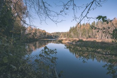 sonbahar renkli ülkede orman nehir. vintage eski film Nehri Cesis şehir - Letonya Gauja bak