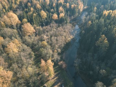 drone görüntü. hava alanları ve sarı renkli bulutlu sonbahar günü ormanlarda kırsal alan görünümünü ağaçlar gün düşer. Letonya - vintage eski film bakmak