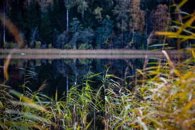 su yansımalar ve dramatik fırtına bulutları yukarıdaki güzel göl