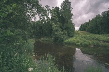 yaz, ormandaki güzel kayalık akarsu. Letonya Cesis yakınındaki nehirde Amata 