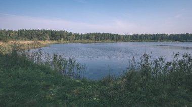 güzel orman doğa göl veya nehir temiz su sonbahar yansıtıyordu.