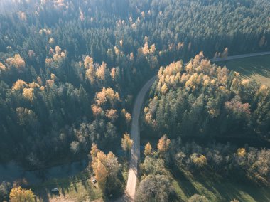 drone görüntü. hava alanları ve sarı renkli bulutlu sonbahar günü ormanlarda kırsal alan görünümünü ağaçlar gün düşer. Letonya - vintage eski film bakmak