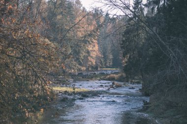 sonbahar renkli ülkede orman nehir. vintage eski film Nehri Cesis şehir - Letonya Gauja bak
