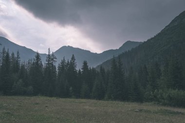 Batı Karpat Tatra dağ manzarası yeşil alanları ve ormanları ön planda. Yaz aylarında yürüyüş parkurları - vintage eski film bakmak Slovakça