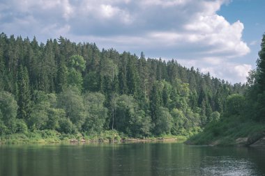 Güzel sakin Gauja Nehri ile su ağaçlarda Cesis, Letonya yakınındaki ormanda yansımalar yaz gün