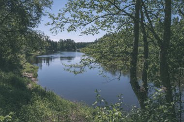 sakin Nehri ile parlak yeşil yeşillik suda ağaçlarda Cesis, Letonya yakınındaki ormanda yansımalar yaz aylarında. Akşam güneşi ile kumtaşı kayalıklarla - vintage eski film bakmak içinde nehir, Gauja