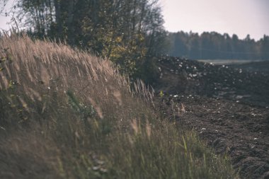 parlak gün ışığı tarafında - vintage eski film bakmak renkli ağaçlar ile geç sonbaharda boş taze ekili tarım alanında