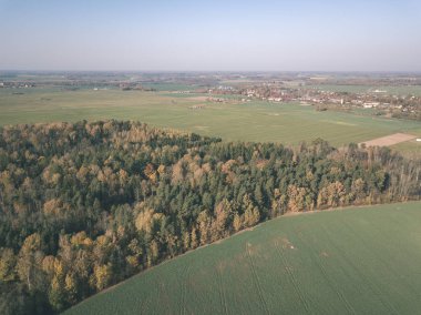 drone görüntü. hava alanları ve sarı renkli bulutlu sonbahar günü ormanlarda kırsal alan görünümünü ağaçlar gün düşer. Letonya - vintage eski film bakmak