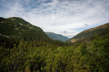 erken sonbahar renkleri içinde ağaçlar ve ormanlar ile kaplı bulutlu ve sisli Slovakça Western Karpat Tatra dağ manzarası