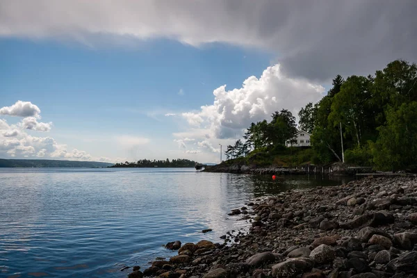 Rotsachtige Kustlijn Noorwegen Met Paar Pijnbomen Rustig Water Onder Blauwe — Stockfoto