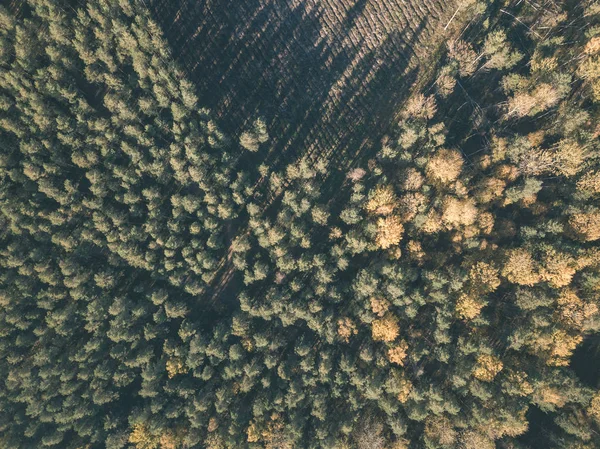 无人机图像 在多云的秋日与黄色秋天树的农村地区与领域和森林的鸟图 复古老影片看 — 图库照片