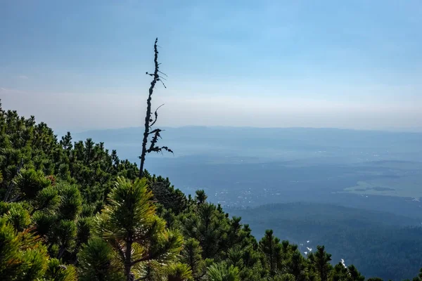 western Carpathian mountains in clear day. Tatra hiking trails