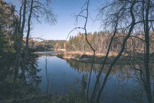 Waldfluss Herbstlich Gefärbten Land Fluss Gauja Lettland Der Nähe Der — Stockfoto