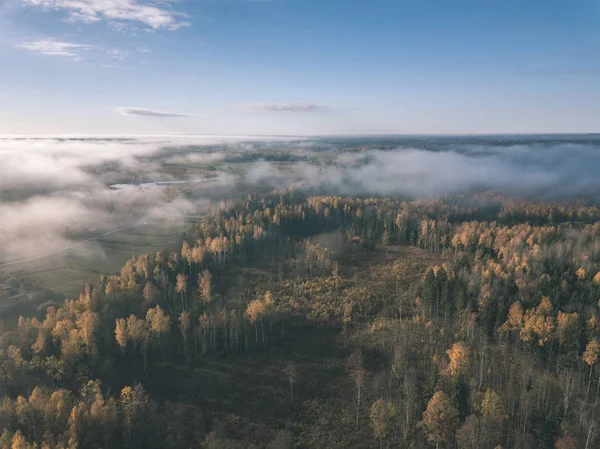 Drone Obrazu Widok Lotu Ptaka Obszarów Wiejskich Pola Lasy Objęte — Zdjęcie stockowe
