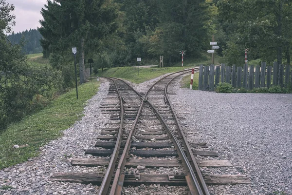 Ősi Napló Vasút Vonat Pályákon Turisztikai Látványosságok Vonat Szlovákiában Vintage — Stock Fotó