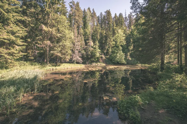 Kalme Rivier Met Reflecties Van Bomen Buurt Van Cesis Letland — Stockfoto