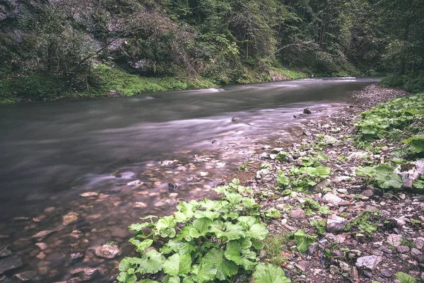Довга Експозиція Скелястої Гірської Річки Влітку Високим Рівнем Водного Потоку — стокове фото
