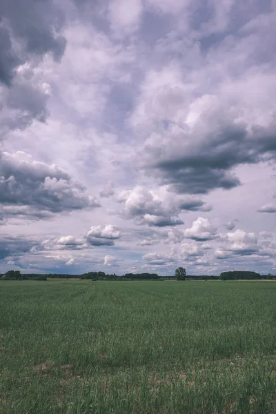 Nubes Tormenta Sobre Prados Verdes Algunos Árboles Verano — Foto de Stock