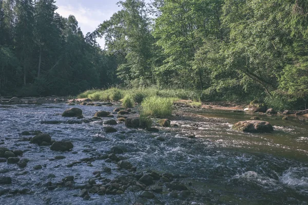 Vacker Stenig Bäck Skogen Sommaren Amata Floden Lettland Nära Cesis — Stockfoto