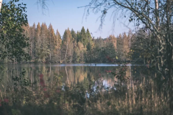 Odrazy Přírody Čisté Vody Jezero Nebo Řeka Přírodě Barvy Podzimu — Stock fotografie