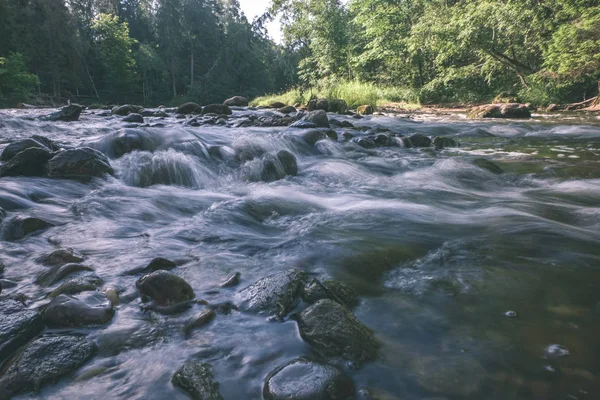 Piękne Skaliste Strumienia Lesie Latem Amata Rzeka Łotwie Pobliżu Cesis — Zdjęcie stockowe