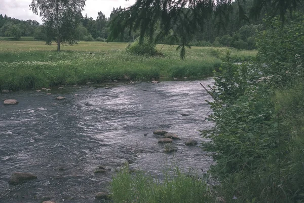 Rocky Потік Річки Глибині Лісу Літо Amata Річка Латвії Поблизу — стокове фото
