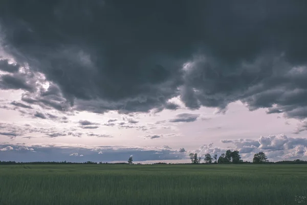 Nuvens Tempestade Sobre Prado Verde Algumas Árvores Verão — Fotografia de Stock