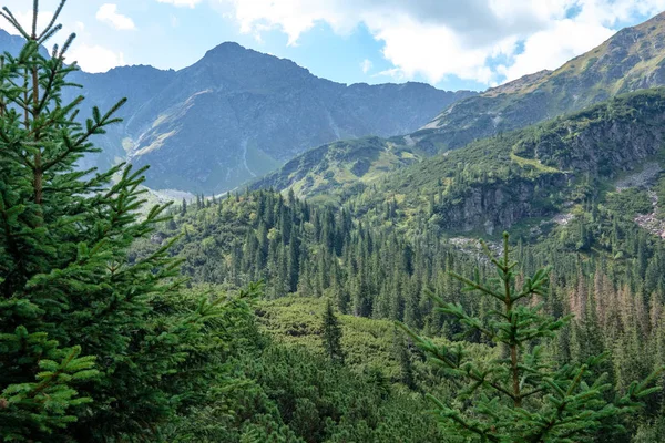 Montagnes Des Carpates Occidentales Avec Sentiers Randonnée Touristique Tatra Slovaquie — Photo