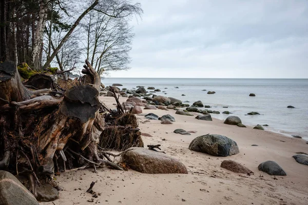 Sziklás Partvidék Lettországban Áramlási Víz Tengeri Késő Ősszel Nagy Sziklák — Stock Fotó